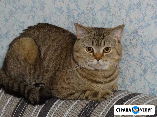 Вязка Сергиев Посад - изображение 1