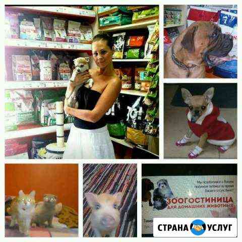 Передержка (зоогостиница) для собак, кошек, и тд Ростов-на-Дону