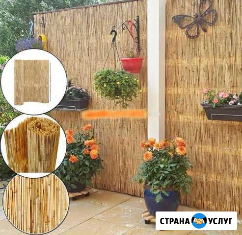 Интерьер из тростника, камыша (забор) Ермолино - изображение 1