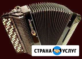 Баянист Казань - изображение 1