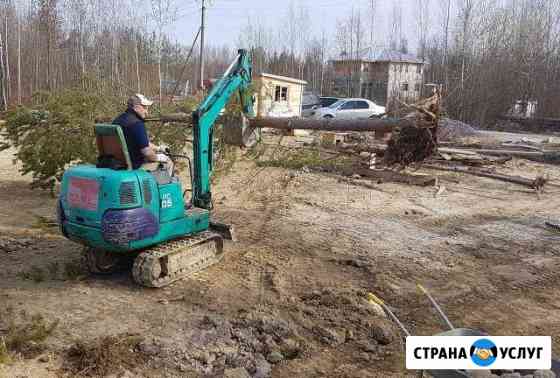 Миниэкскаватор Аренда Гостилицы