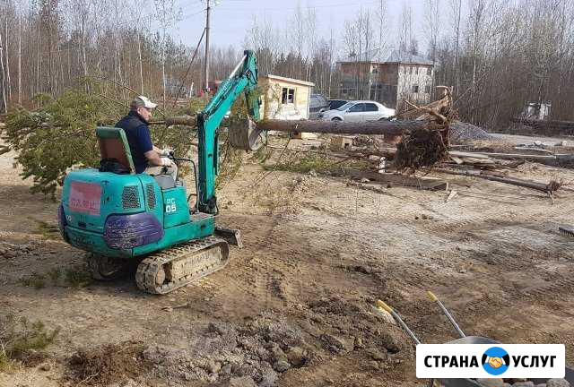 Миниэкскаватор Аренда Гостилицы - изображение 1