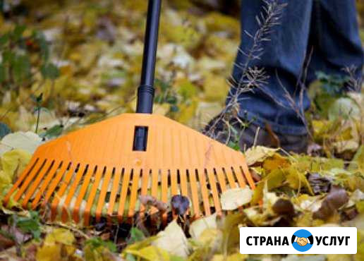 Помощь на даче, в огороде Омск - изображение 1