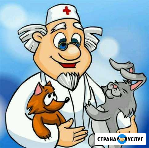 Ветеринарный врач выезд на дом Тамбов - изображение 1