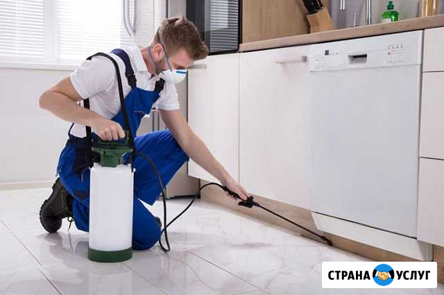 Дезинсекция клопов Стерлитамак Стерлитамак - изображение 1