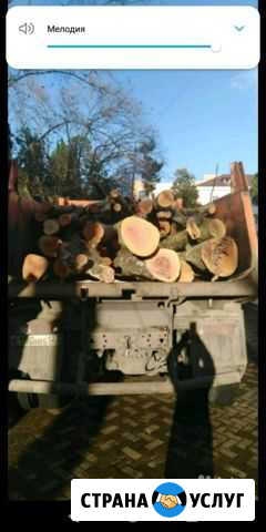 Расчистка участка Сочи - изображение 1