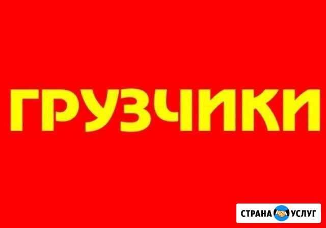Грузчики,подъем стройматериалов, земельные работы Уфа - изображение 1