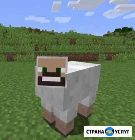 Тренер по Fortnite Шахты