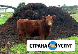 Доставка навоза Обнинск - изображение 1