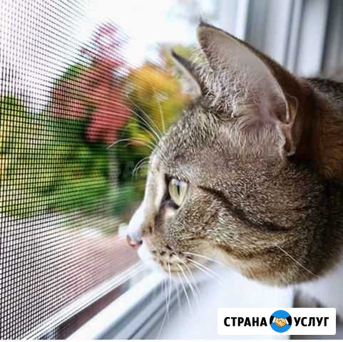 Москитная Сетка Красноярск - изображение 1