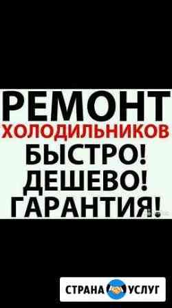 Ремонт холодильников на дому Казань
