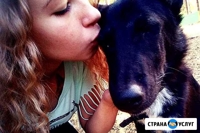 Уход за животными Азов - изображение 1