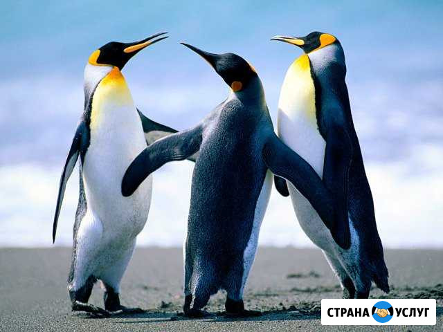 Грузотакси Коломна - изображение 1