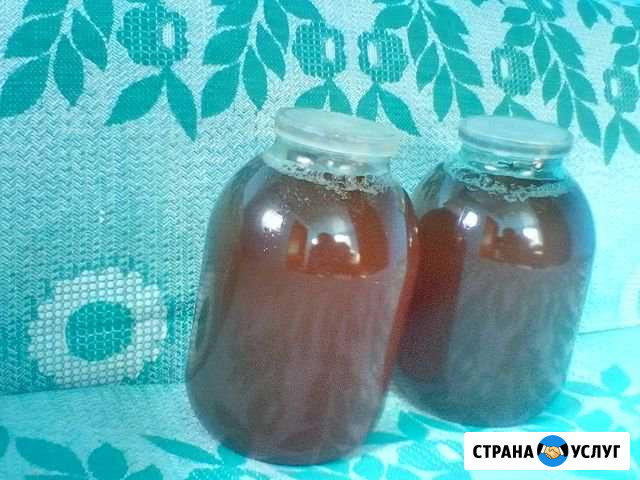 Продам мед Дубовый Умет - изображение 1