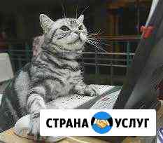 Ремонт компьютеров, Установка Windows Санкт-Петербург