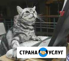 Ремонт компьютеров, Установка Windows Санкт-Петербург - изображение 1