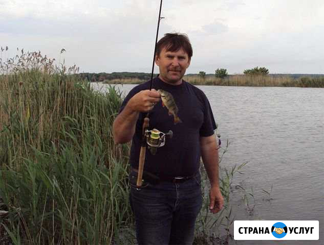 Регистрация Наро-Фоминск - изображение 1