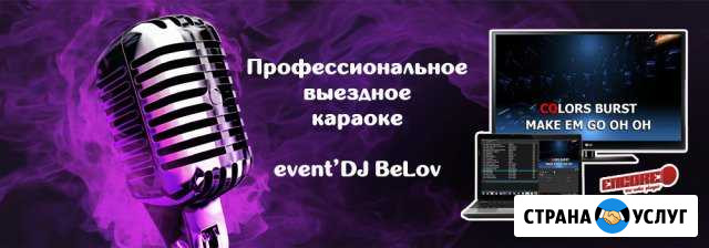 Выездное профессиональное караоке + дискотека DJ Самара - изображение 1