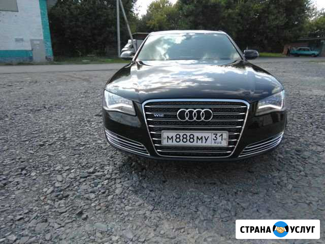 Аренда авто с водителем Короча - изображение 1
