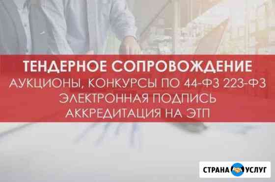 Обучение тендерам Уфа