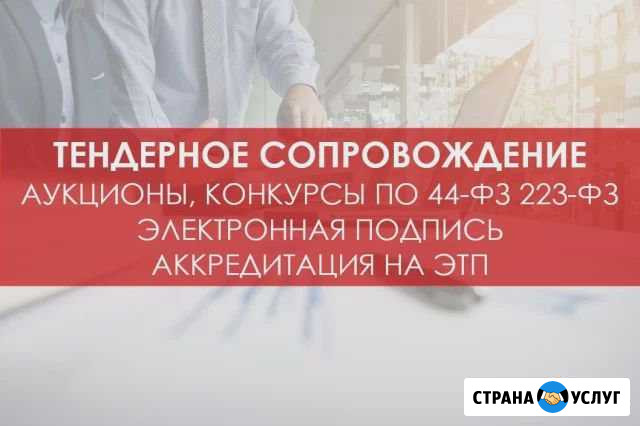 Обучение тендерам Уфа - изображение 1
