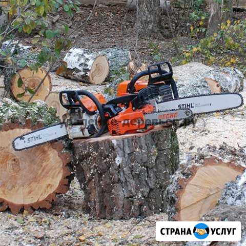 Спил деревьев, грузчики Брянск - изображение 1