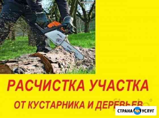 Расчистка участка. Демонтаж спил деревьев Луховицы Луховицы
