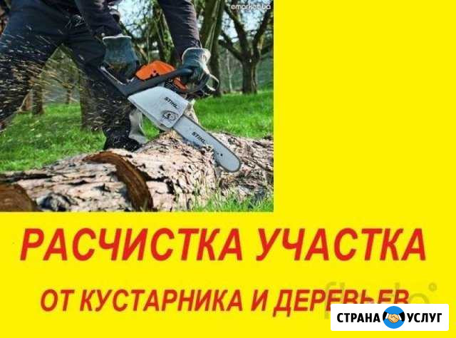 Расчистка участка. Демонтаж спил деревьев Луховицы Луховицы - изображение 1