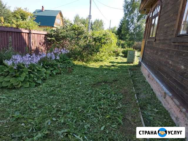 Покос травы на участке Волоколамск - изображение 1