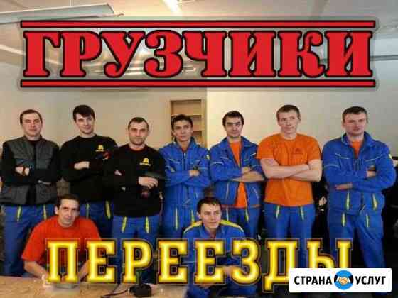 Грузчики Тула
