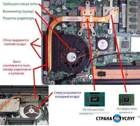 Чистка нотбуков от пыли и замена термопасты Алатырь