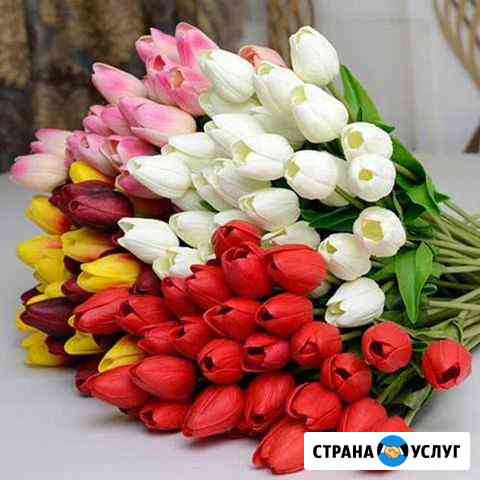 Прокол ушек пистолетом Ставрополь