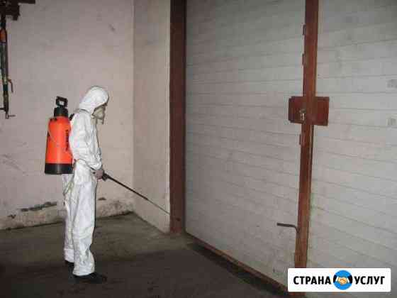 Уничтожение клопов,тараканов.Гарантия 1 год Новокузнецк