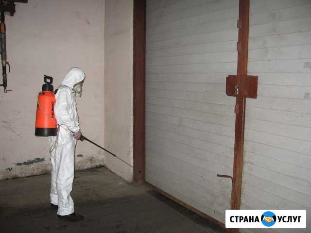 Уничтожение клопов,тараканов.Гарантия 1 год Новокузнецк - изображение 1
