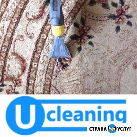 Химчистка ковра (в доме, кафе, офисе) Москва - изображение 1