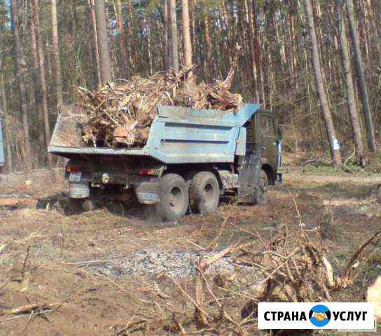 Вывоз и утилизация спиленных деревьев Санкт-Петербург