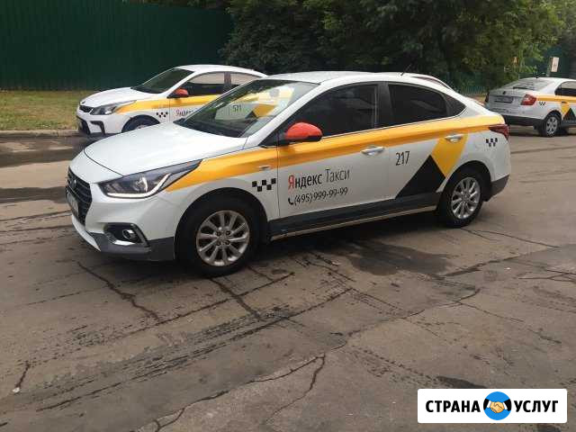 Аренда авто: Hyundai Solaris, Kia Rio, Skoda Rapid Москва - изображение 1