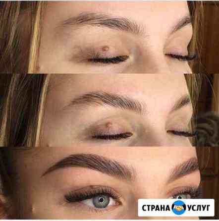 Бровист Йошкар-Ола