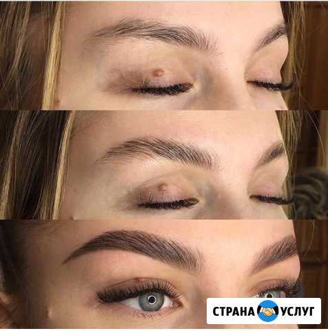 Бровист Йошкар-Ола - изображение 1