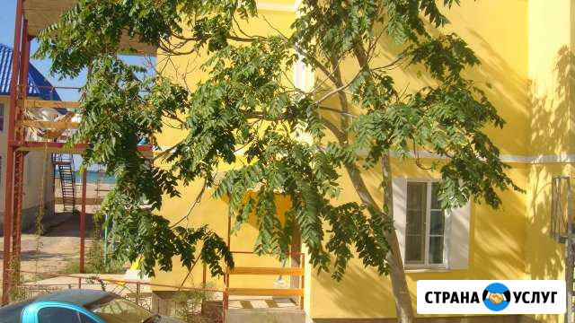 Отдых в Крыму, близко к морю, 20 метров до пляжа Саки - изображение 1
