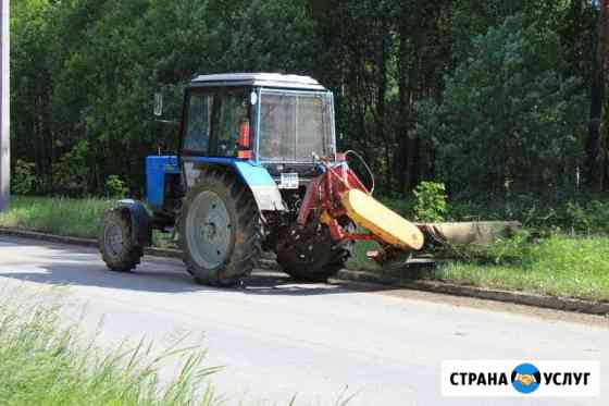 Покос травы и борщевика в Пушкино Пушкино
