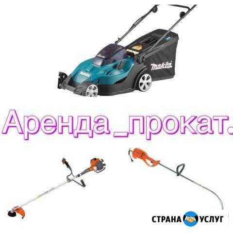 Прокат. Аренда Бийск