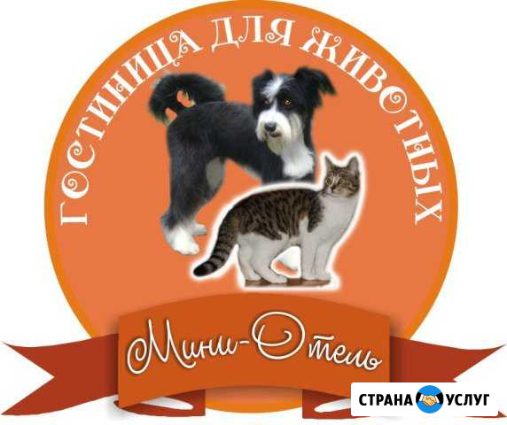 Гостиница (передержка) для животных Владимир - изображение 1