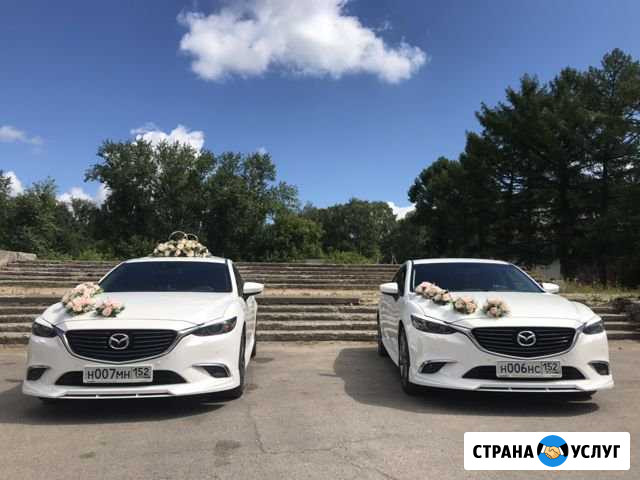 Заказ. Аренда авто на свадьбу Нижний Новгород - изображение 1