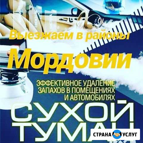 Удаление неприятного запаха Саранск - изображение 1