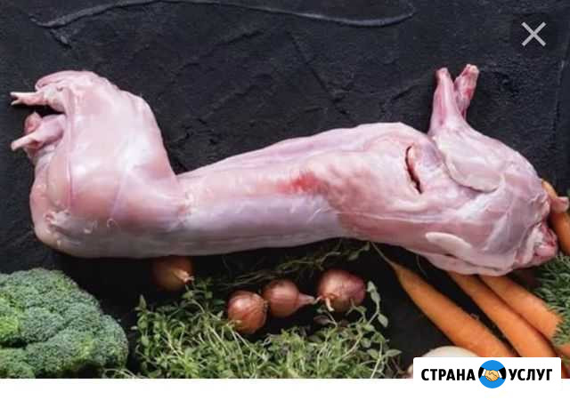 Мясо кролика Красногорск - изображение 1