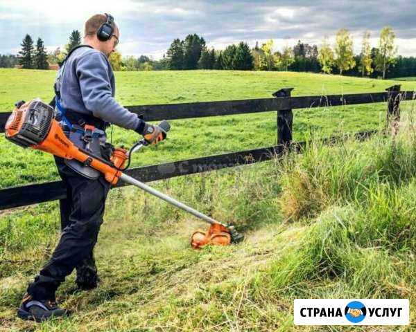 Покос травы Балашов - изображение 1