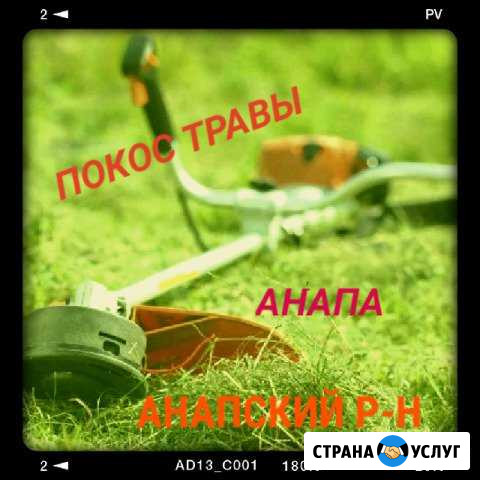 Покос травы Анапа - изображение 1