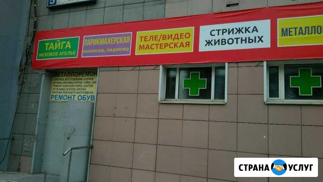 Ремонт электроники,бытовой техники Щёлково - изображение 1