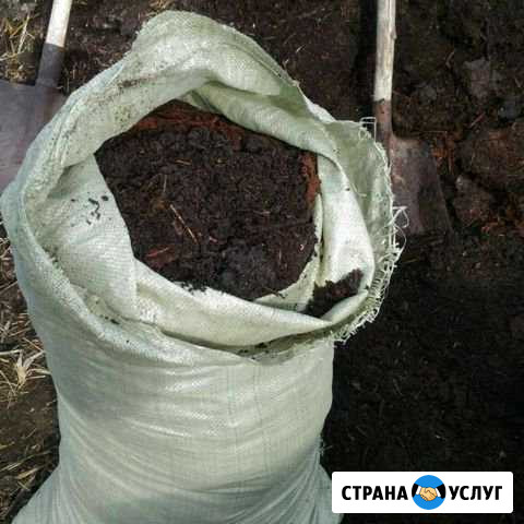 Перегной, навоз, торф Гусев - изображение 1